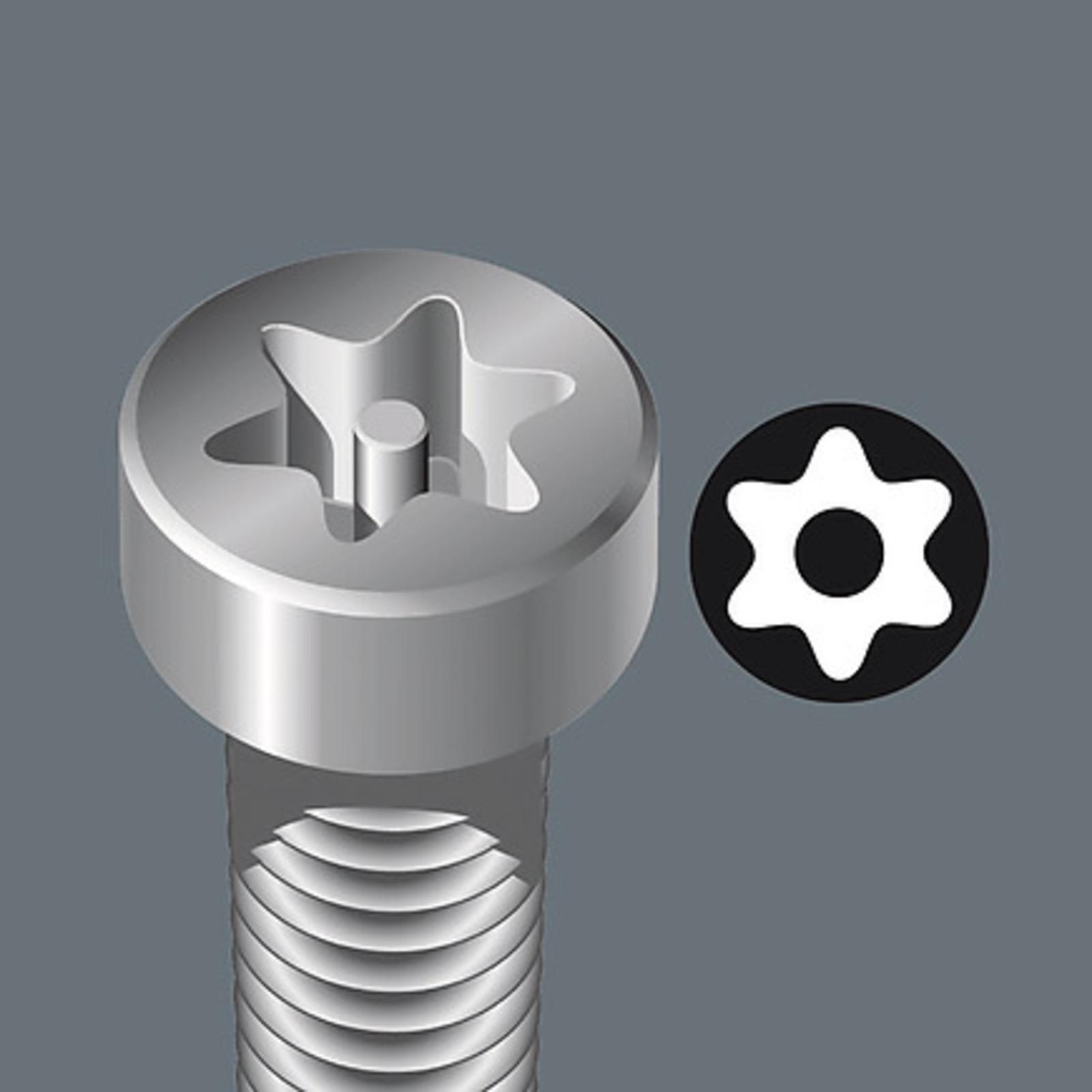 torx_bo.jpg